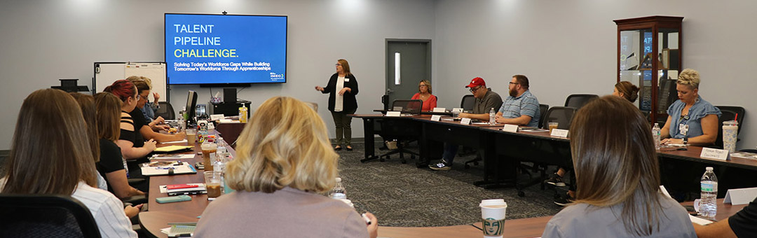 Apprenticeship Illinois Program Roundtable Discussion